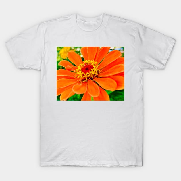 Orange Flower T-Shirt by Margo Humphries Art